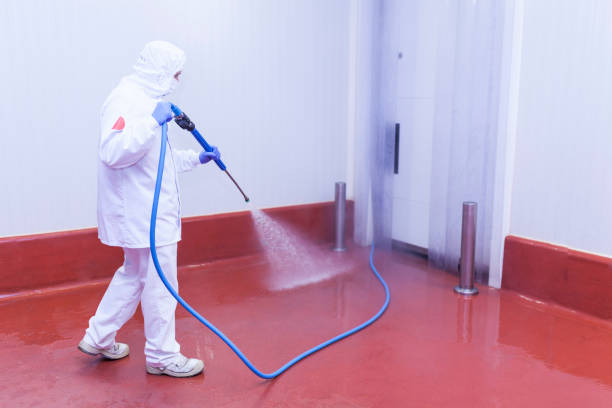Best Driveway Pressure Washing  in Hillsborough, NJ